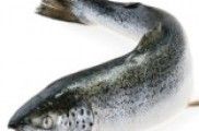 Salmó fumat: és un producte segur?