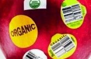 No és un jeroglífic, només és una etiqueta