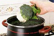 Conservació dels aliments