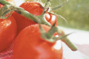Una proporció rellevant de productes ecològics contenen residus de pesticides