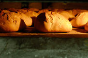 El pan de cada día