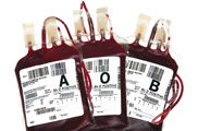 Doazón de sangue: vida en glóbulos e plaquetas