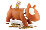 Aforro canino