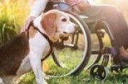 EL MEU TERAPEUTA BORDA