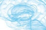 Parlar idiomes, una combinació d'aprenentatge i de salut cerebral
