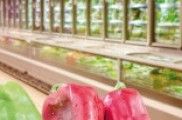 Verduras conxeladas: a dificultade de acabar coas faltas crenzas