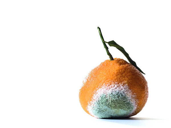 Què hem de fer amb un aliment florit