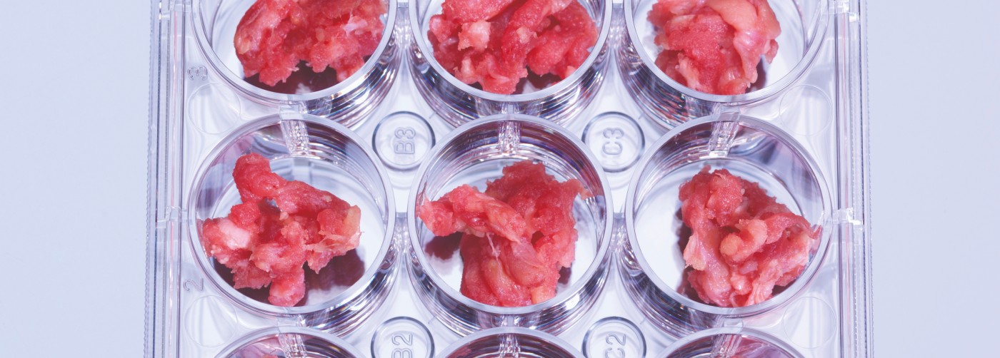 Laborategiko proteinak: Itxura eta zaporea haragiarenak, baina zer da?