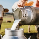 granjero llevando leche
