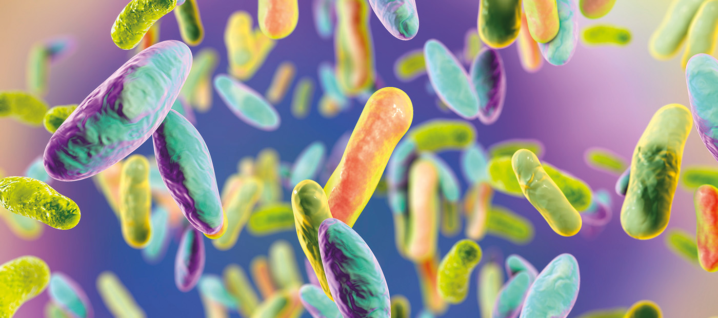 Presta’m la teva microbiota