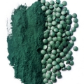 Espirulina, un alga con containdicaciones