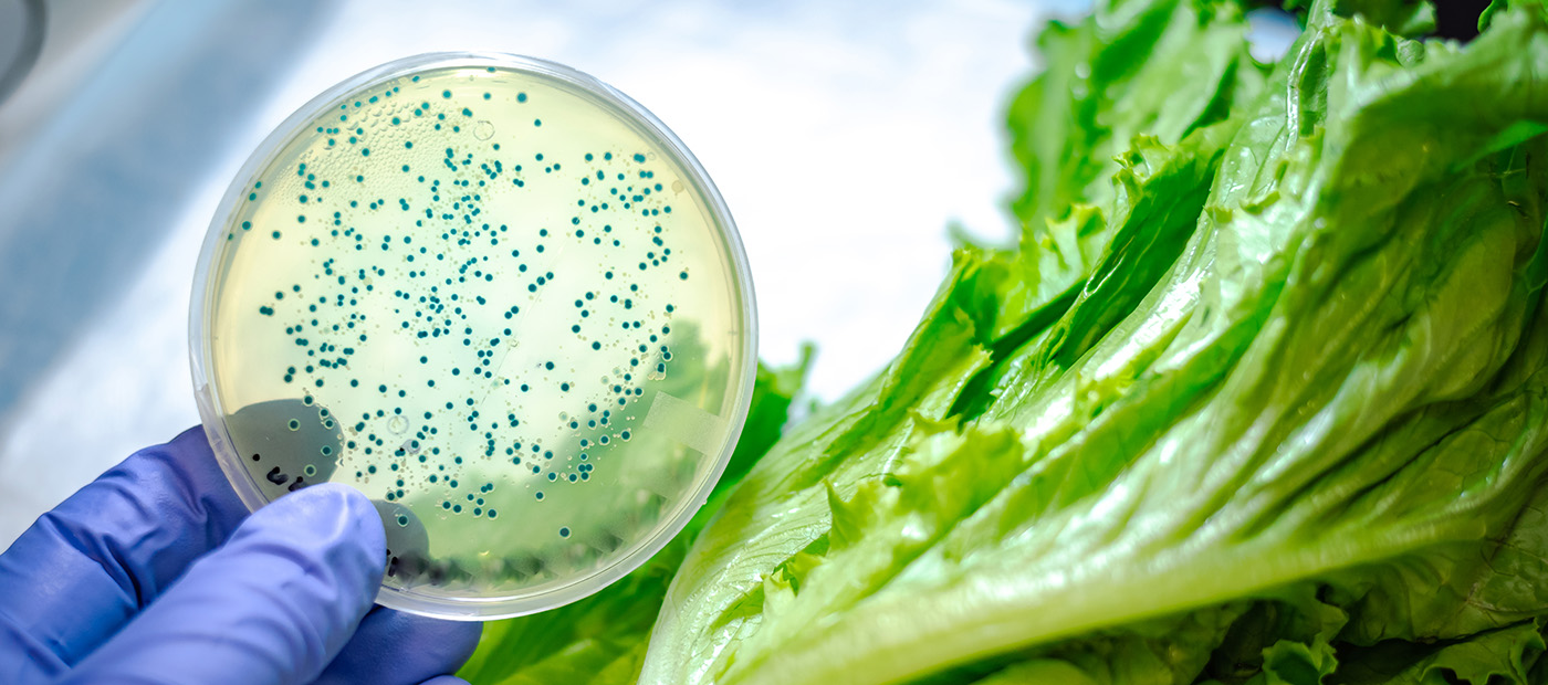El nostre menjar també té microbiota