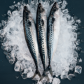 Pescados de temporada