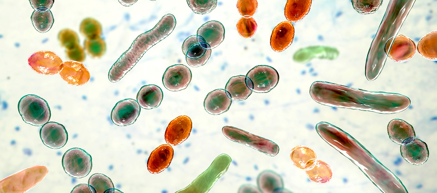 La huella de los antibióticos en la microbiota